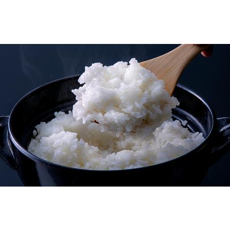 ふるさと納税 令和7年産 特別栽培米つやっ娘米 5kg 丹後こしひかり お米 米 ご飯 コシヒカリ つやっ娘 丹後 宮津 京都 海の京都 特別栽培米 グル.. 京都府宮津市_2