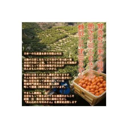 ふるさと納税 \農家直送/こだわりの完熟有田みかん 約10kg 有機質肥料100%【ご家庭用】 ※2022年11月中旬頃〜2023年1月上旬頃に順次発送予定.. 和歌山県美浜町|furunavi|02
