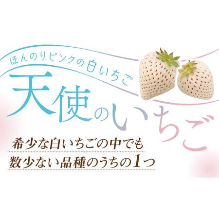 ふるさと納税 【先行予約】【農家直送】味のバランスのよい希少な白いちご「天使のいちご」（化粧箱入り400g）【ひかるのうえん】 [IBI002] 佐賀県白石町｜furunavi｜03