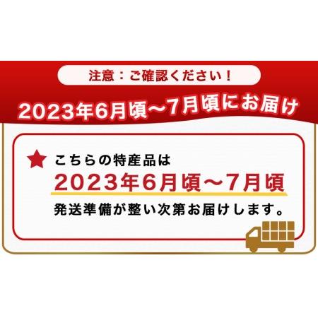 ふるさと納税 【先行受付!】宮崎完熟マンゴー家庭用1kg以上(都城産)_MJ-3311 宮崎県都城市|furunavi|02