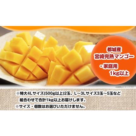 ふるさと納税 【先行受付!】宮崎完熟マンゴー家庭用1kg以上(都城産)_MJ-3311 宮崎県都城市|furunavi|04