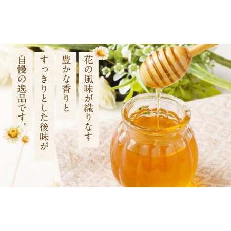 ふるさと納税 MINOKAMO HONEY はちみつ 3本（300g×3） | 藤井養蜂 非