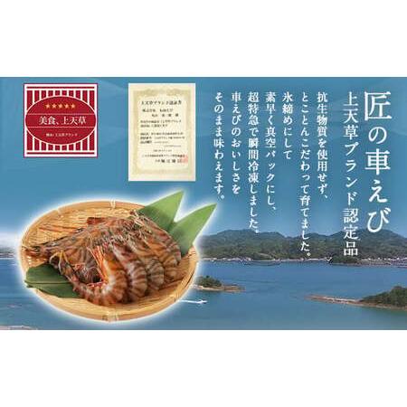 ふるさと納税 【上天草ブランド認証品】 匠の車えび【活き締め急速冷凍】300g(9尾〜12尾) 熊本県上天草市_1