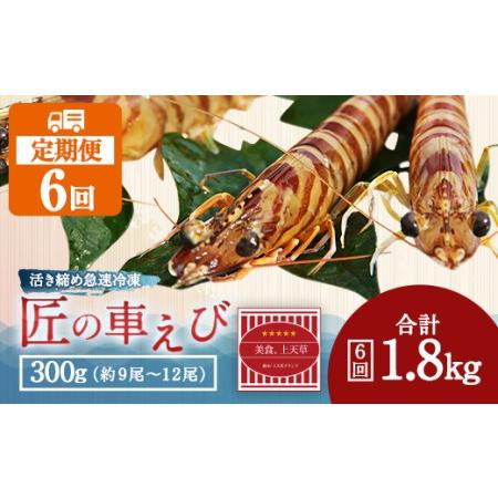 ふるさと納税 [上天草ブランド認証品][定期便 2ヶ月1回 計6回] 匠の車えび [活き締め急速冷凍]300g (9尾〜12尾) 冷凍 熊本県上天草市