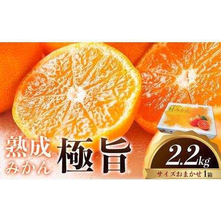 ふるさと納税 熟成みかん 極旨 1箱[2月発送]廣畠農園 みかん 徳島県佐那河内村