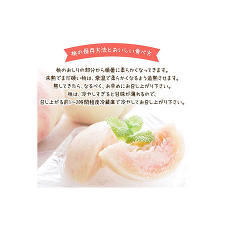 ふるさと納税 【先行予約】【夏の美味】フルーツ王国　和歌山の桃　約２kg | もも モモ 桃 国産 フルーツ 果物 果実 お取り寄せ ギフト デザー.. 和歌山県美浜町｜furunavi｜05