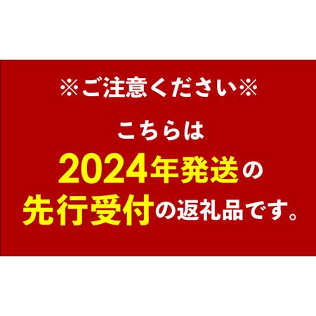 ふるさと納税 【先行受付】【2024年発送】神谷ファームのマンゴー（極）約1.5Kg 沖縄県八重瀬町 約1