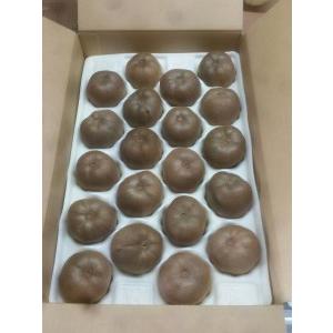 ふるさと納税 TE-01　追熟アップルキウイ 三重県多気町