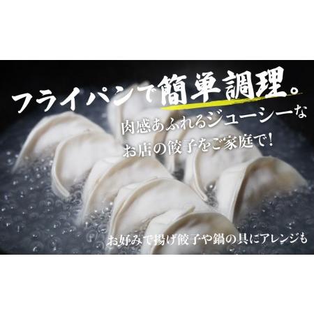 ふるさと納税 豪華！ 飛騨餃子 ファミリーパック 50個入り ＜ 生冷凍餃子 ・ 簡易包装 ＞ ぎょうざ ギョーザ 冷凍 冷凍餃子 飛騨高山 業務用 大.. 岐阜県高山市｜furunavi｜03