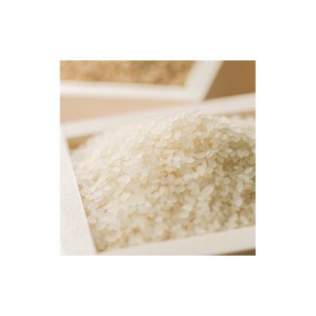 ふるさと納税 きすみの夢ヒカリ(真空パック)15kg【毎月12回お届け】 兵庫県小野市