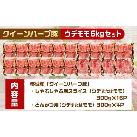 ふるさと納税 「クイーンハーブ豚」ウデ・モモ6kgセット_AD-2904_(都