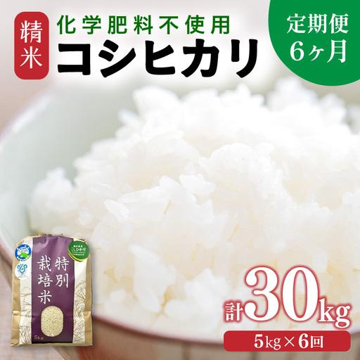 ふるさと納税 [先行予約][令和8年産][定期便6回] 化学肥料不使用コシヒカリ 精米 5kg×6回 (計30kg)/ 白米 米 福井県あわら市産 .. 福井県あわら市