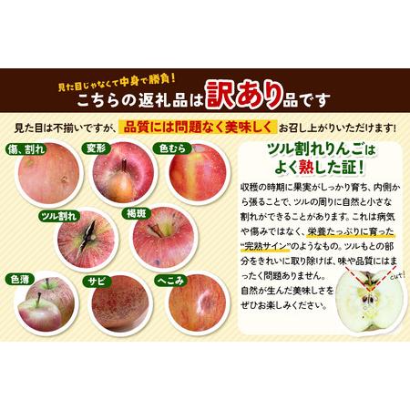 ふるさと納税 【11月発送】りんご【訳あり】葉取らず サンふじ 約10kg 糖度 13度以上【蜜入り】EMりんご 青森県弘前市