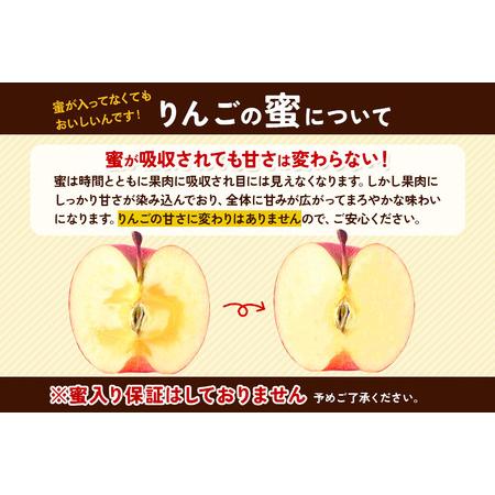 ふるさと納税 【11月発送】りんご【訳あり】葉取らず サンふじ 約10kg 糖度 13度以上【蜜入り】EMりんご 青森県弘前市