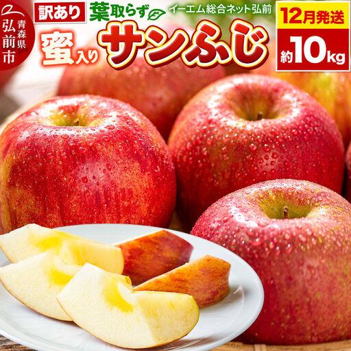 蜜入りサンふじ 約10kgの返礼品写真