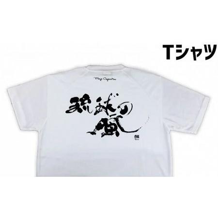 ふるさと納税　琉球の風（琉球空手）白Tシャツセット＜Sサイズ＞　沖縄県糸満市