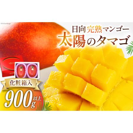 ふるさと納税 マンゴー 太陽のタマゴ 秀品 900g以上 [452060664] マンゴー 宮崎県日向市