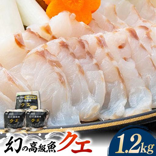 ふるさと納税 [2026年10月より順次発送]対馬産 幻の高級魚 クエ 1.2kg 海鮮 魚介 鍋 高級 [WAA014] 長崎県対馬市