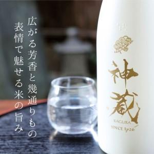ふるさと納税 【松井酒造】日本酒 神蔵 飲み比べ仕かける 720ml2本｜京都 一般受け続きもの 日本酒 京都府京都市