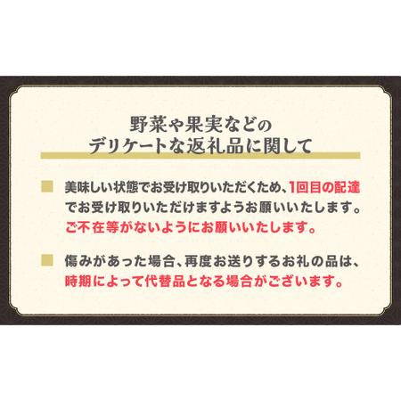 ふるさと納税 先行予約 すいか スイカ 尾花沢すいか スーパー6Lサイズ 約12kg以上&times;1玉 8月1日〜8月10日頃発送 令和7年産 2025年 尾花沢 .. 山形県尾花沢市