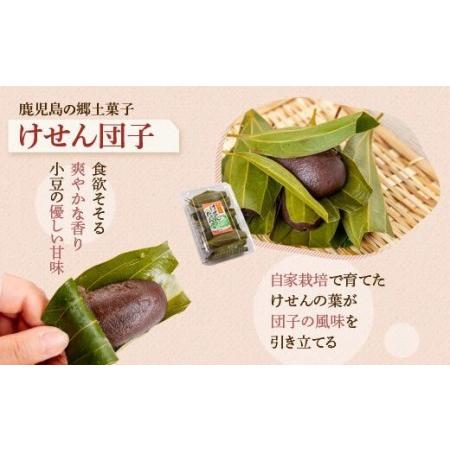 Web限定 ふるさと納税 5031 郷里の銘菓セット 鹿児島県肝付町 超歓迎 Www Muslimaidusa Org