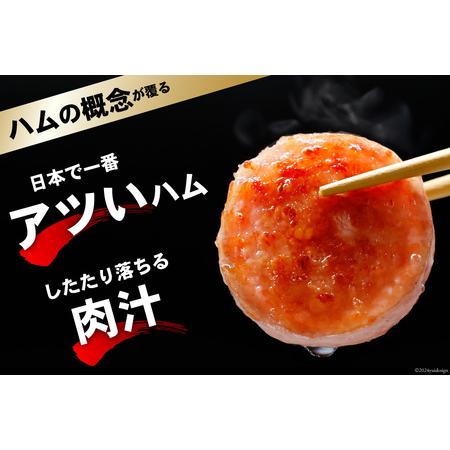 ふるさと納税 FD191 雲仙ハム ソーセージ 小300g×3本[長崎県 島原市