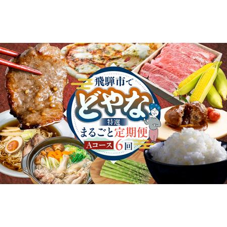 ふるさと納税 どやな まるごと定期便 Aコース 6回 飛騨市 牛肉 野菜 定期便 岐阜県飛騨市