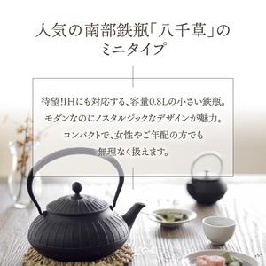 ふるさと納税 南部鉄器 鉄瓶 平八千草 0.8L 【OIGEN 作】 IH調理器