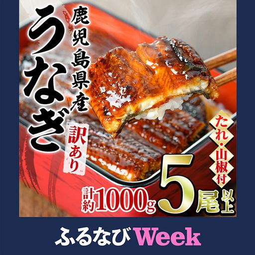 ふるさと納税 [ふるなびWEEK対象][訳あり]東串良町 うなぎ 蒲焼 (無頭)(5尾以上・計約1kg・タレ、山椒付) 高級 ウナギ 鰻 国産 たれ 鹿.. 鹿児島県東串良町
