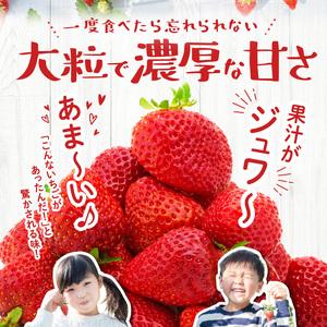 ふるさと納税 エコファーマー　あまおう（2024年12月〜順次発送）_Fi014 福岡県久留米市｜furunavi｜03