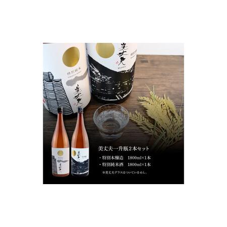 ふるさと納税 美丈夫 特別純米酒＆特別本醸造 2本セット 1800ml×2本