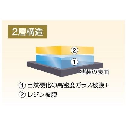 ふるさと納税 【大府店限定】KeePer LABO「ダイヤモンドキーパー」コーティング券（Mサイズ・Lサイズ） // コーティング コーティング券 愛知県大府市 コーティング券 Lサイズ