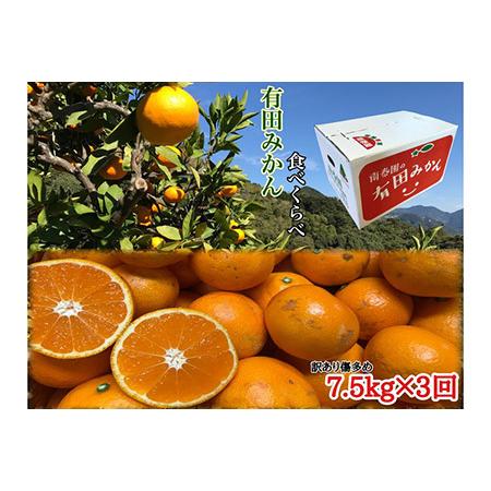 海外最新 ふるさと納税 定期便 先行受付21年10月発送スタート みかん三昧 訳ありコース 有田みかん 食べくらべ３種 各約7 5kg 南泰園 和歌山県湯浅町 魅力的な Www Thedailyspud Com