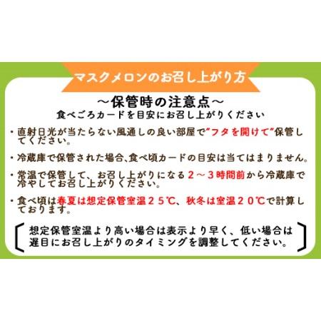 ふるさと納税 一果相伝マスクメロン家庭用 2玉入り フルーツ メロン 果物 デザート 期間限定 メロン めろん メロン めろん メロン めろん メロン.. 高知県香南市｜furunavi｜03