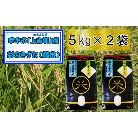 ふるさと納税 [令和7年産米]食味Aランク継続中の銘柄 彩のきずな 精米10kg - お米 白米 ごはん 銘柄 減農薬 埼玉県幸手市