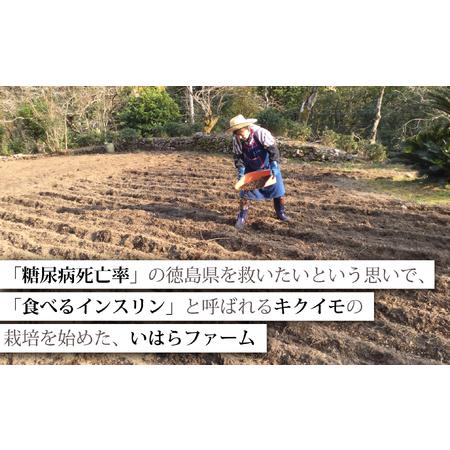 海部キクイモ顆粒 120ｇ×1袋 キクイモ 顆粒 120g×1袋 菊芋 きくいも 徳島 海部 海部キクイモ 【2025年3月中旬以降発送】 徳島県海陽町 【毎月】