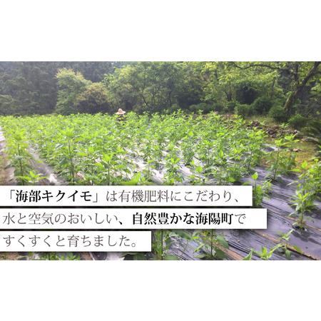 海部キクイモ顆粒 120ｇ×1袋 キクイモ 顆粒 120g×1袋 菊芋 きくいも 徳島 海部 海部キクイモ 【2025年3月中旬以降発送】 徳島県海陽町 【毎月】