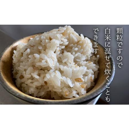 海部キクイモ顆粒 120ｇ×1袋 キクイモ 顆粒 120g×1袋 菊芋 きくいも 徳島 海部 海部キクイモ 【2025年3月中旬以降発送】 徳島県海陽町 【毎月】