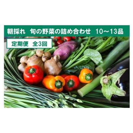 ふるさと納税 『定期便』全3回[土佐野菜]旬の野菜詰め合わせ10〜13品目 旬の野菜 定期 生姜 野菜 健康 詰め合わせ セット 採れたて おいしい .. 高知県土佐市