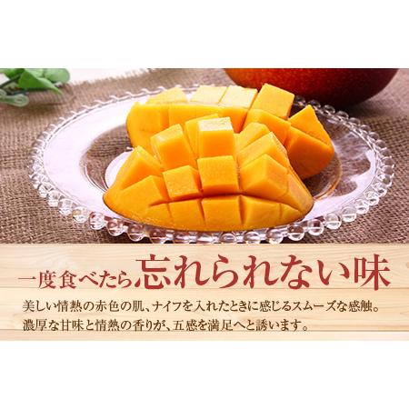 ふるさと納税 ＜先行予約＞「南国宮崎からお届け」完熟マンゴー3Lサイズ2玉 果物 フルーツ 人気 贈答品【C247-25】 宮崎県新富町