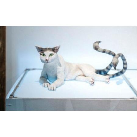 ふるさと納税 妖怪美術館＋小野川直樹美術館　入館チケット 香川県土庄町 