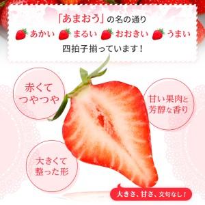 ふるさと納税 福岡育ちあまおういちご 約270g×4パック 合計1080g 【2023年2月下旬〜3月発送】 CB223 福岡県大木町|furunavi|04