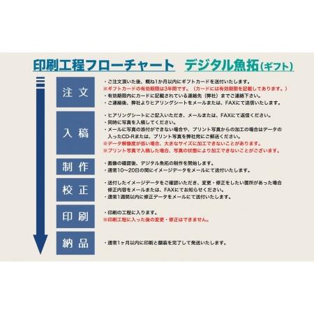 ふるさと納税 CM-024 【B2・デジタル魚拓ギフトカード】メモリアルフィッシュを釣れたてのままに。 福岡県行橋市の画像