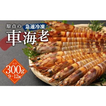 3000円 Sale 81 Off ふるさと納税 原点の 車海老 急速冷凍 300g 9 12尾 1パック えび 熊本県上天草市