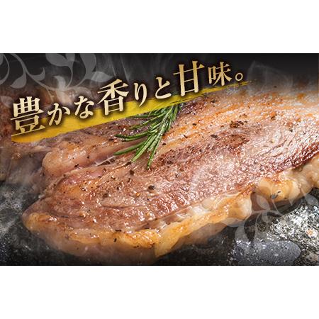 ふるさと納税 訳あり 数量限定 大迫力 1ポンド 黒毛和牛 リブロース ステーキ 計450g 肉 牛 牛肉 国産 おかず お肉 アウトレット 食品 焼肉 送料.. 宮崎県日南市｜furunavi｜02