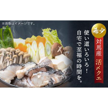 ふるさと納税 使い道いろいろ！ 活〆 クエ （ アラ ） 切身 《 対馬市 》 【 対馬逸品屋 】 海鮮 高級 鍋 おもてなし [WAF009] コダワリクエ こ.. 長崎県対馬市｜furunavi｜02