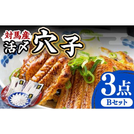大幅値下げランキング ふるさと納税 A5 153 対馬産活〆穴子 ３点セットb