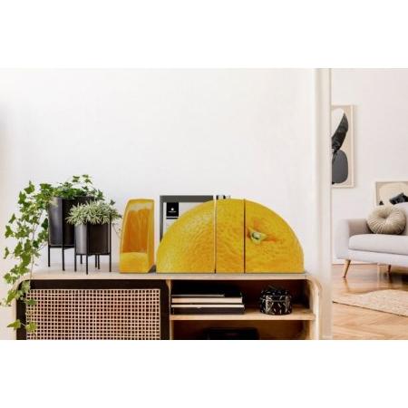 ふるさと納税 ファイルボックス SECTOR＜スイカ・オレンジ＞ 静岡県清水町 