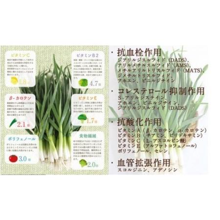 ふるさと納税 魚 刺身 ぶり 2節 鰤 葉 ニンニク ぬた 2種類 ソース セット 極上 高知県 須崎市 高知県須崎市 2745 ふるなび ふるさと納税 通販 Yahoo ショッピング