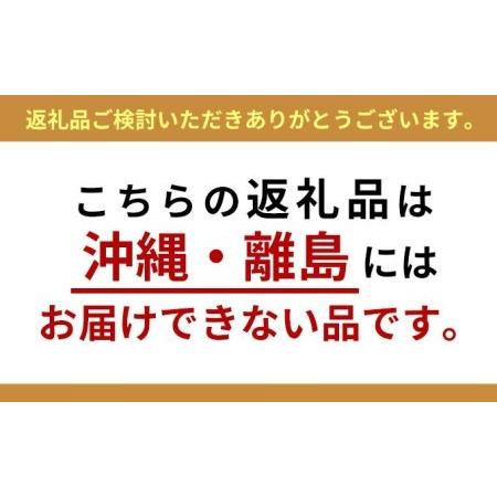 ふるさと納税 児玉冷菓のババヘラアイスソーダレモンタッパセット 秋田県男鹿市|furunavi|02
